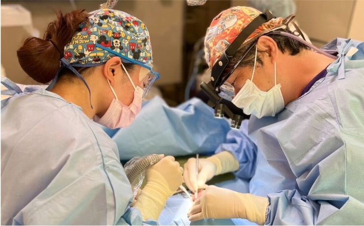 当院のインプラントについて